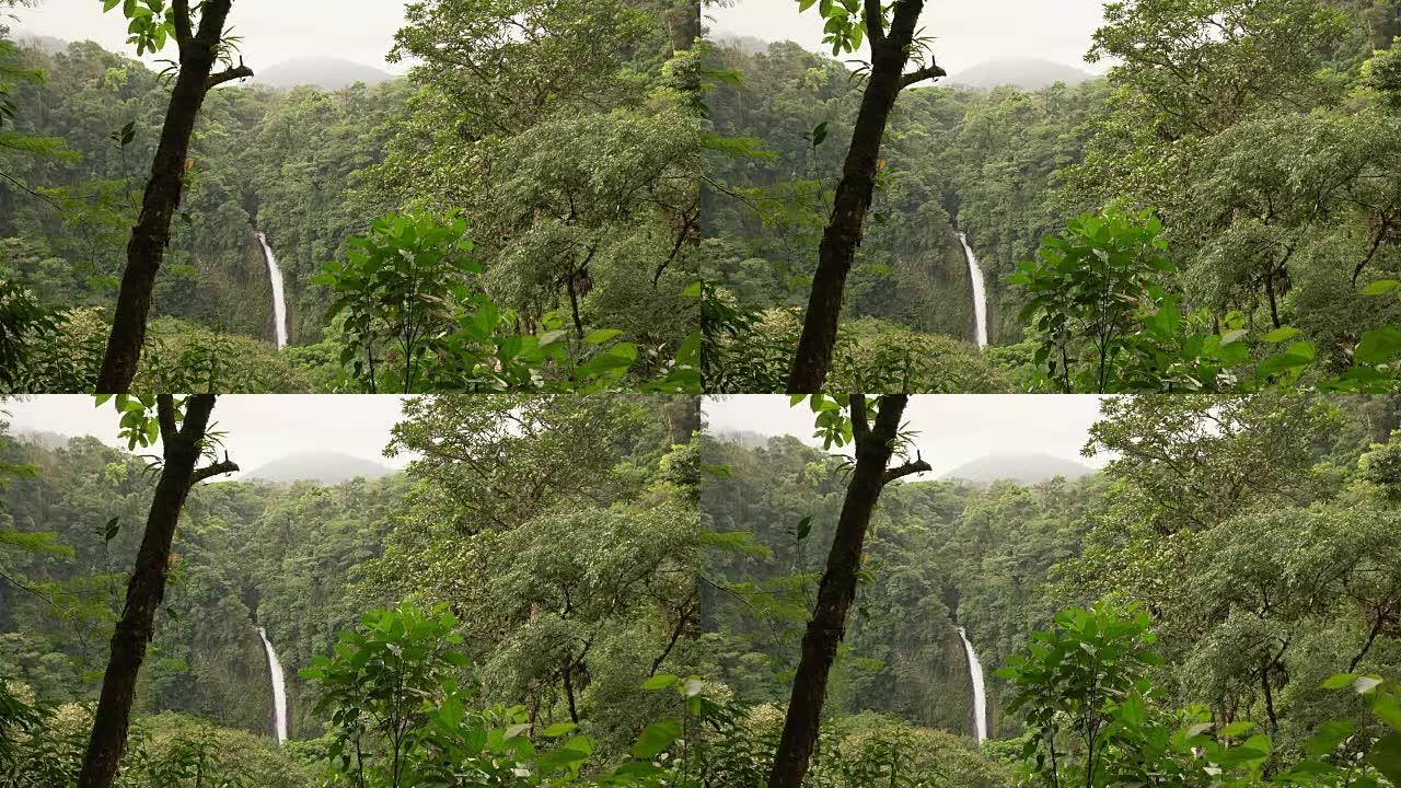 哥斯达黎加的DS瀑布拉福图纳