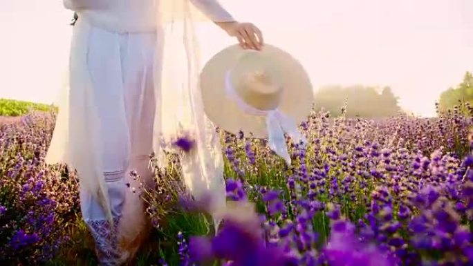 SLO MO女人戴着太阳帽走在薰衣草的田野