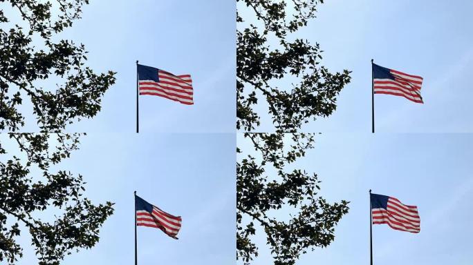 低角度的美国国旗在风中飘扬，在蓝色的天空背景上的一棵绿树附近