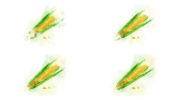玉米水彩绘画动画玉米水彩绘画动画