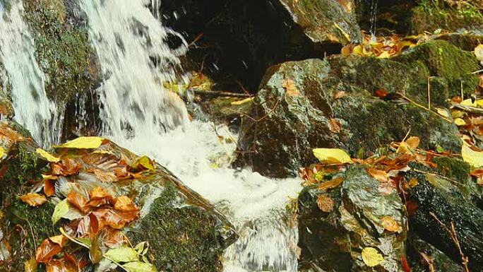HD SLOW-MO:秋天的水晶溪