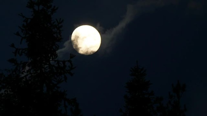 森林中的月亮月亮乌云遮挡月亮流动的乌云