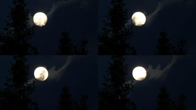 森林中的月亮月亮乌云遮挡月亮流动的乌云