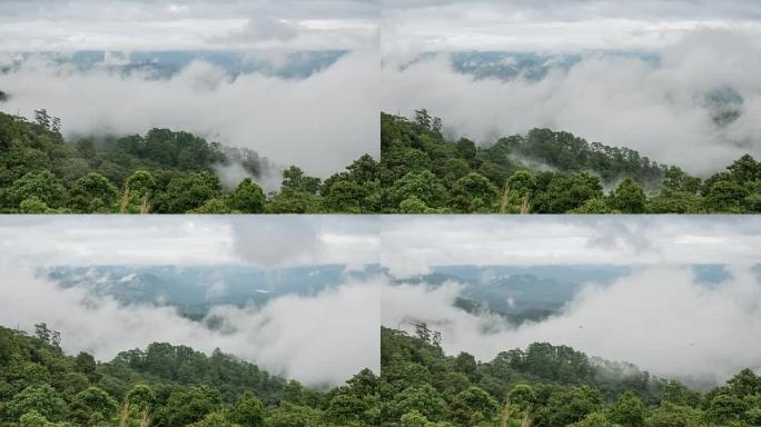 移动迷雾云的时间流逝在森林上快速移动，自然