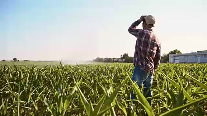 农民在玉米田里看着农业洒水器