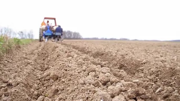 Farmers sowing the potato