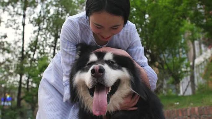 快乐的年轻亚洲女人抱着她的狗阿拉斯加雪橇犬户外，4k