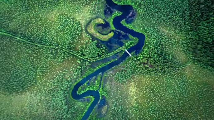 空中: 北方森林中的蜿蜒河流