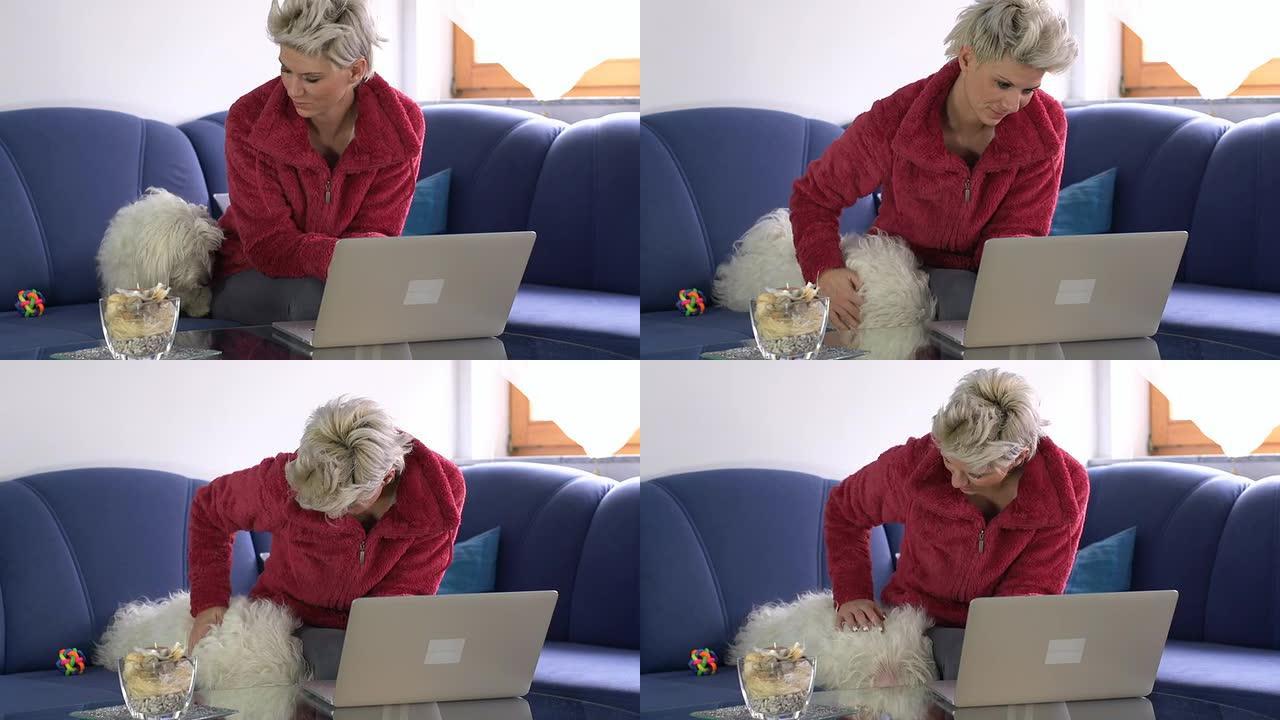 高清娃娃：女人用笔记本电脑和抱狗