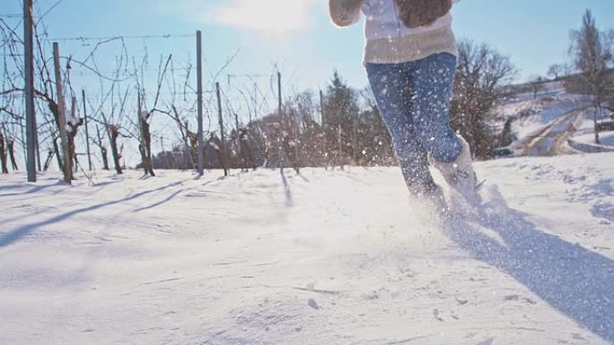 SLO MO在白雪覆盖的葡萄园中奔跑