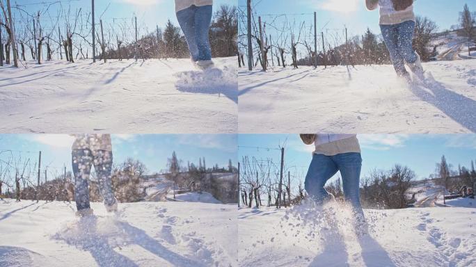 SLO MO在白雪覆盖的葡萄园中奔跑