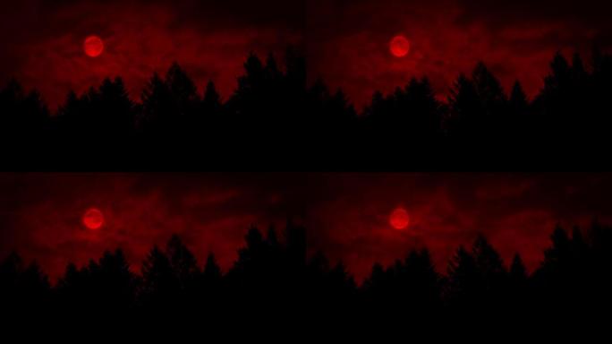森林上方的红色月亮