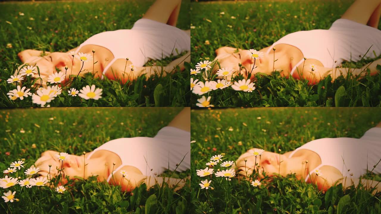 高清娃娃：雏菊中的美丽梦想