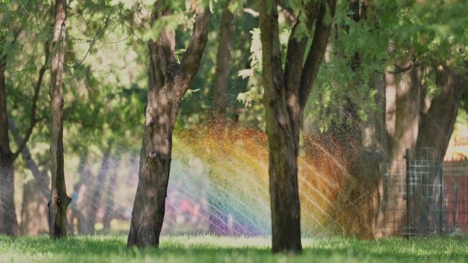公园灌溉彩虹