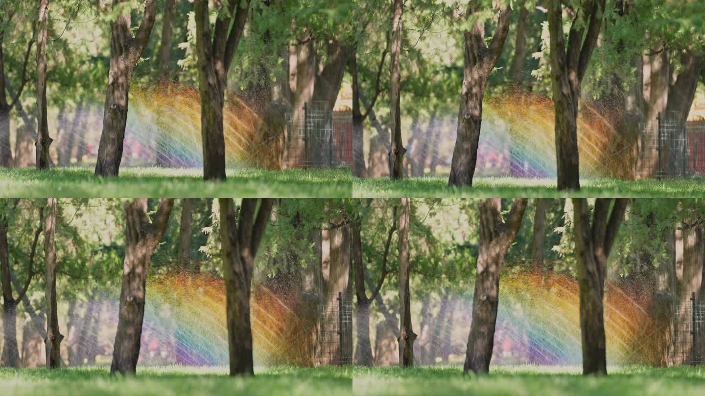 公园灌溉彩虹