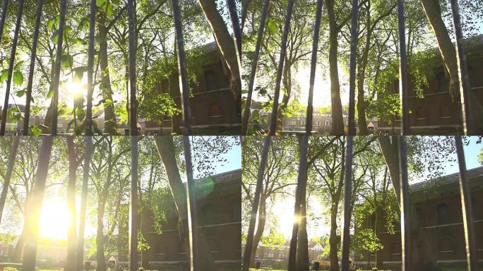 高清超级慢镜头：栅栏和阳光