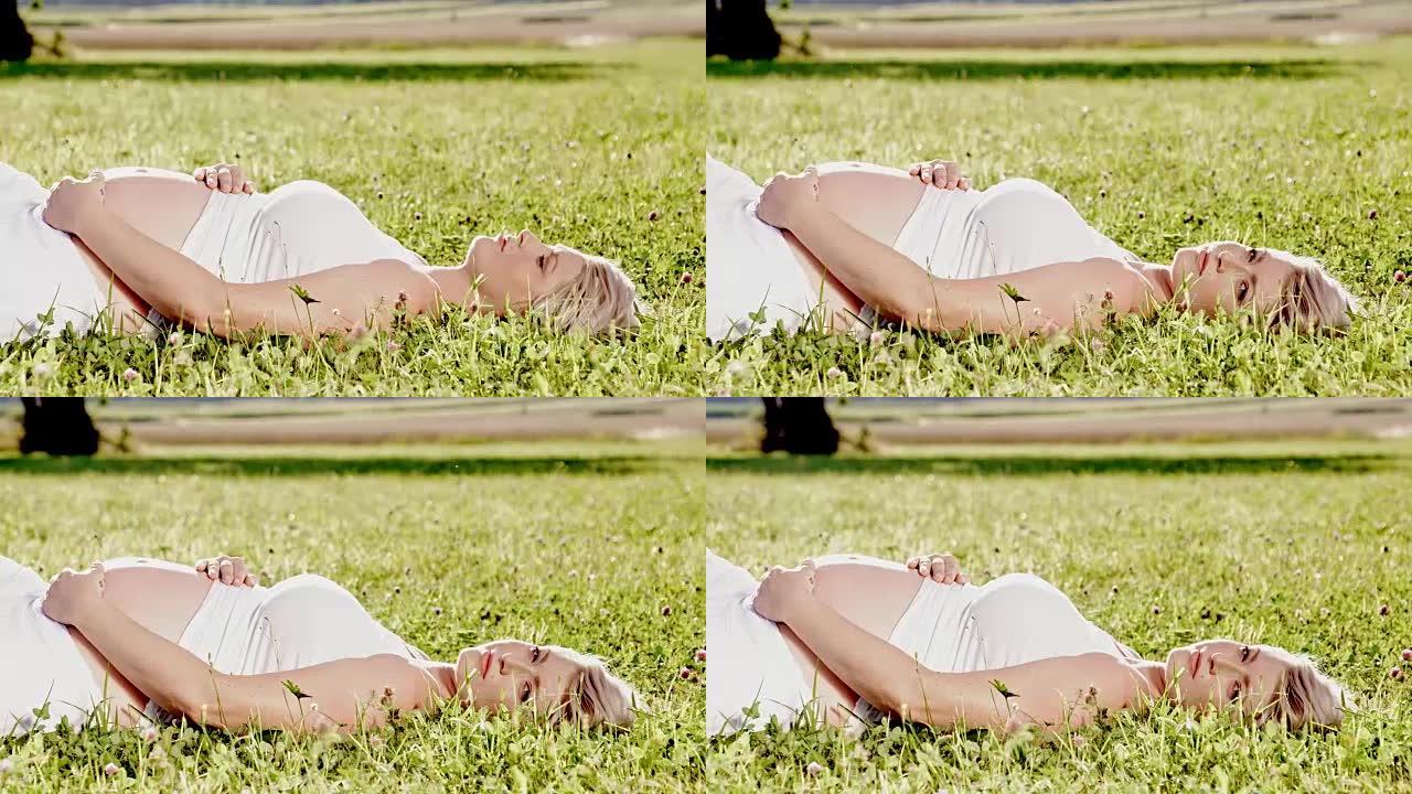 一名孕妇躺在草地上的DS肖像