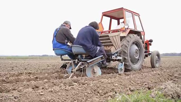 老年农场工人播种马铃薯