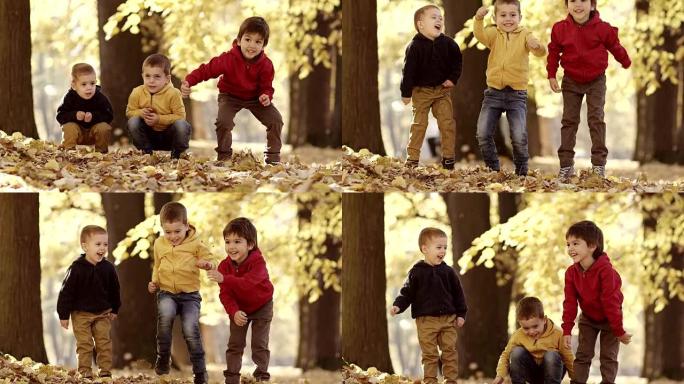 三个孩子玩秋叶微笑小男孩户外