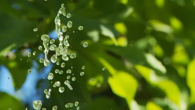 高清慢速运动：水滴与绿色植物