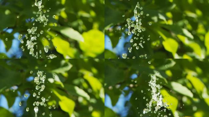 高清慢速运动：水滴与绿色植物
