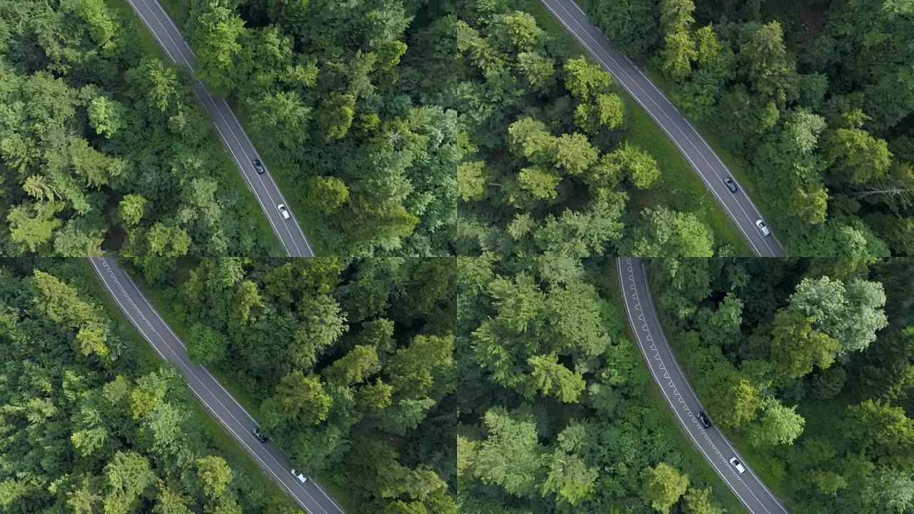空中: 飞越两辆汽车，穿越美丽的深绿色森林。
