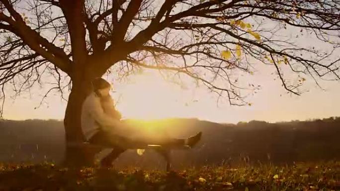 日落时坐在树下的情侣