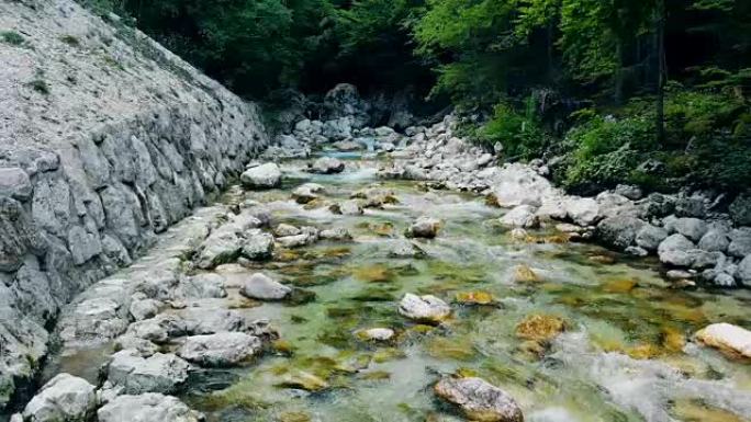 一条小溪山间的河流沿着绿树环绕的岩石流淌而下