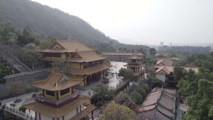 厦门 海沧 石室禅院  寺庙 宣传片片头