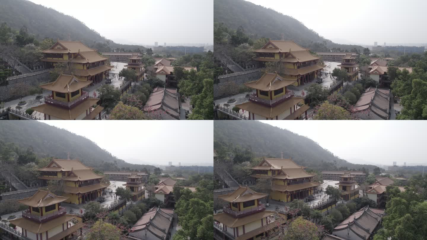 厦门 海沧 石室禅院  寺庙 宣传片片头