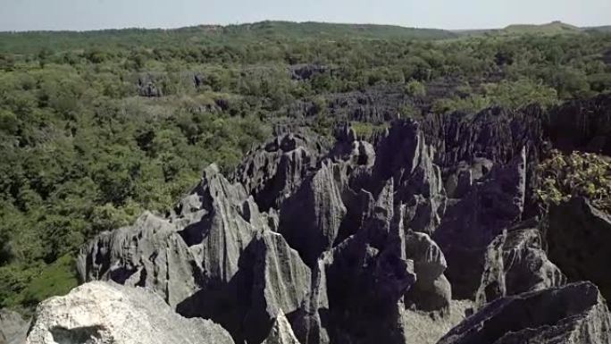 马达加斯加的石林生态山脉景色