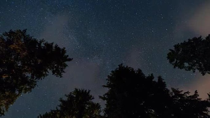 银河与松树，螺旋变焦，夜空星星