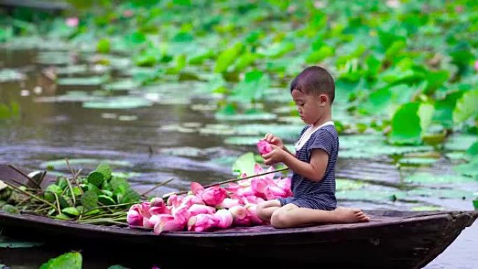 越南同塔省Thap Muoi的大湖中越南男孩在传统木船上玩粉红色莲花花瓣的4k镜头，文化和生活理念