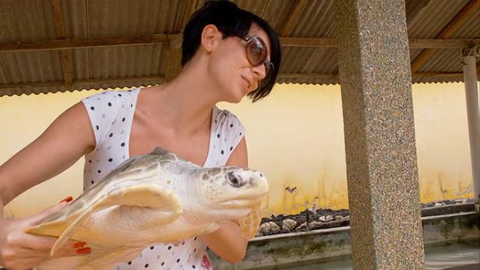 WS游客抱着海龟解救拯救