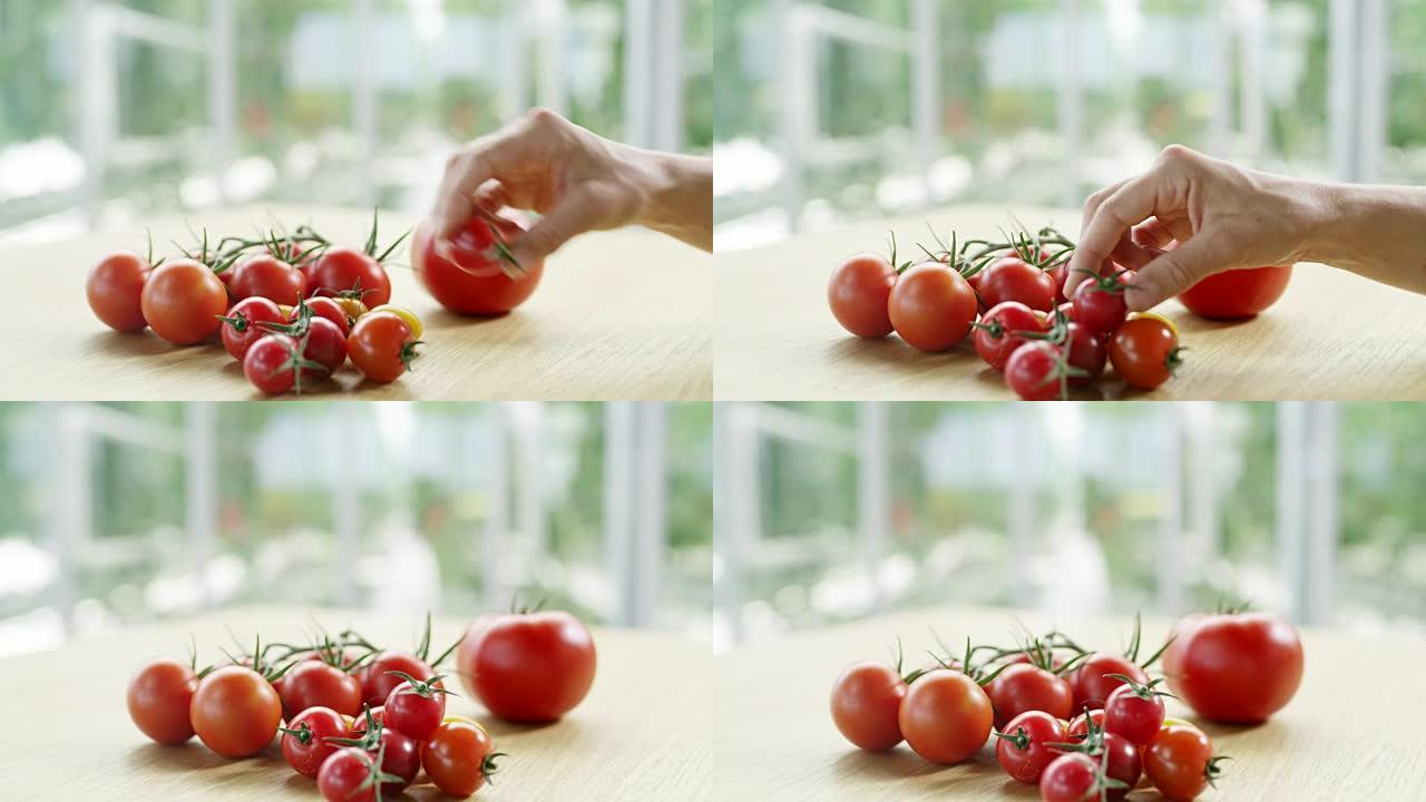 DS园丁将美味的西红柿放在桌子上