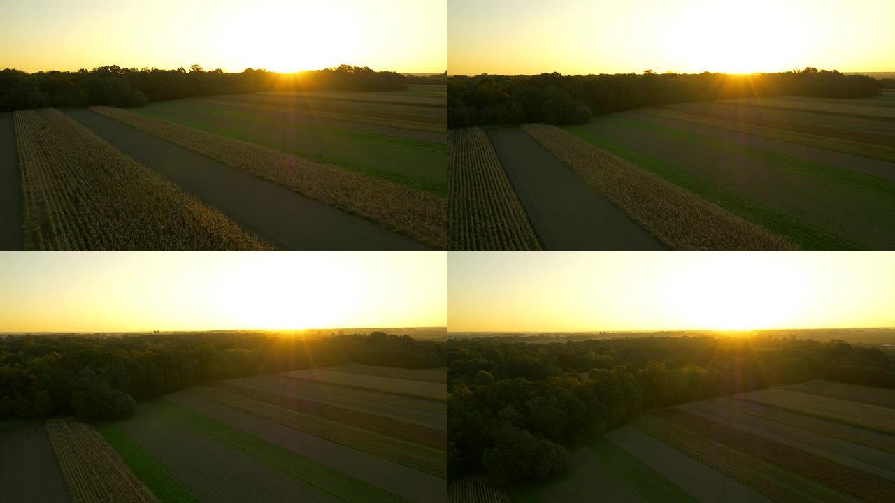 日落时的空中农业景观