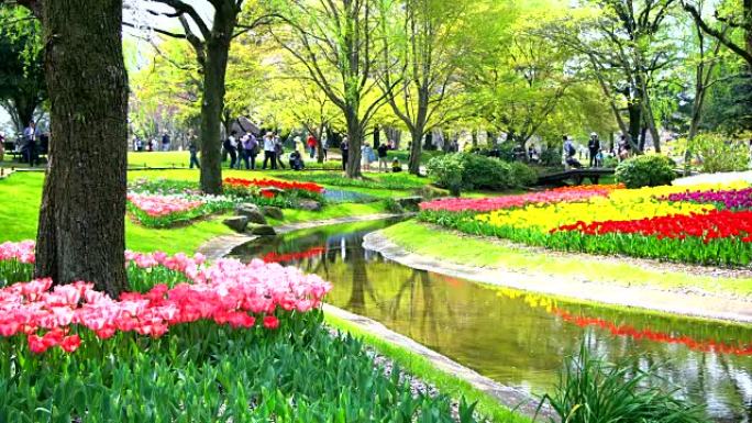 日本东京美丽的花园。