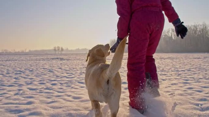 TS女孩与小狗在雪地里奔跑