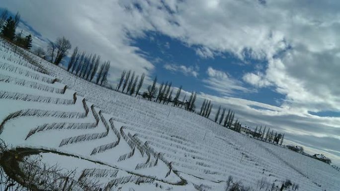 HD TIME-LAPSE：穿越雪地葡萄园地区的云景