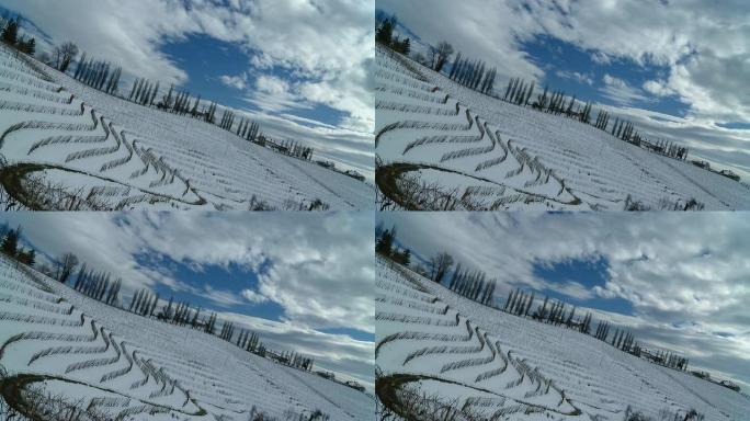 HD TIME-LAPSE：穿越雪地葡萄园地区的云景