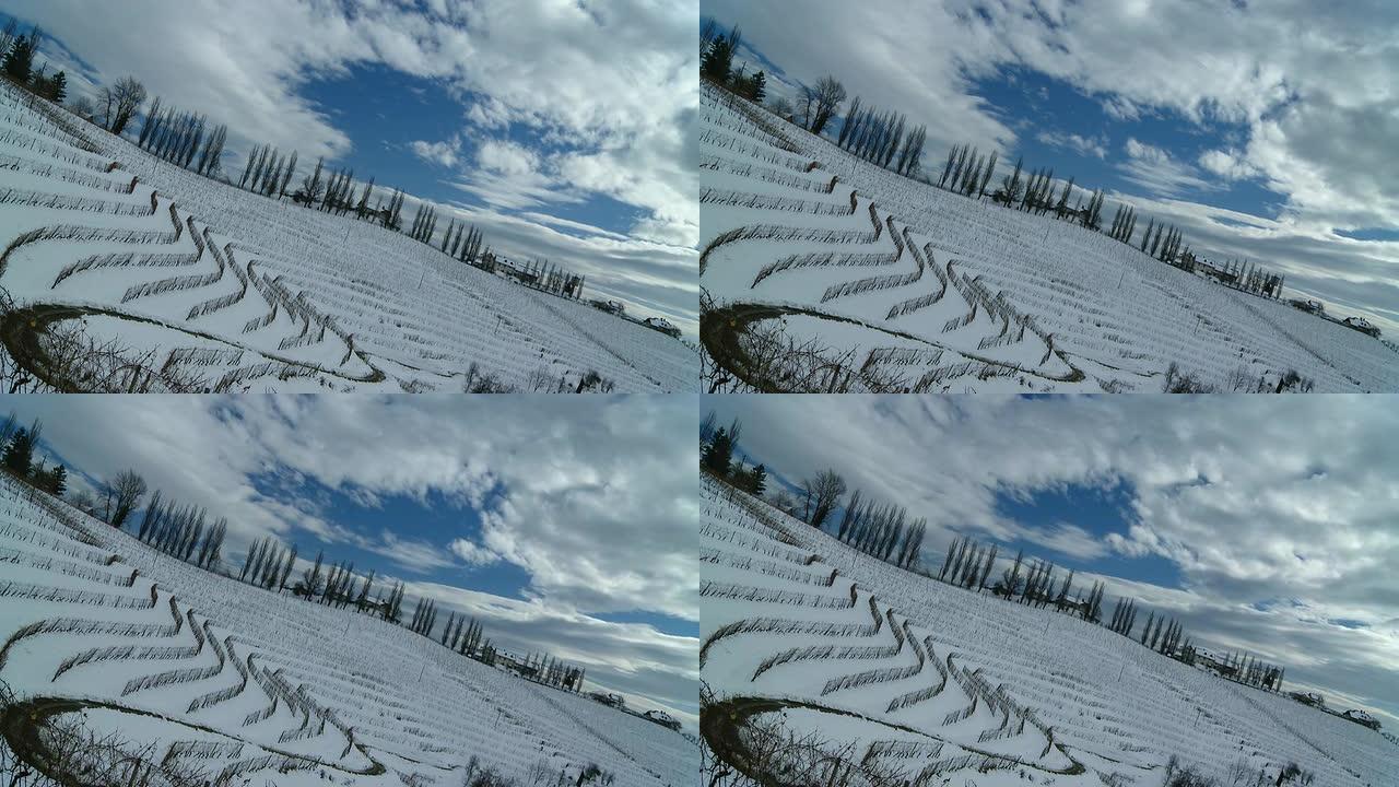 HD TIME-LAPSE：穿越雪地葡萄园地区的云景
