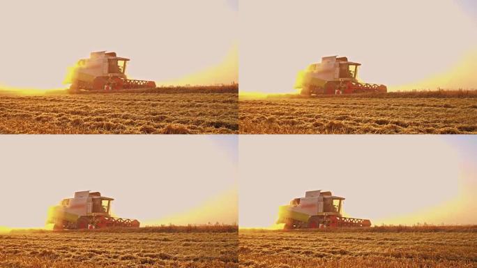 SLO MO联合收割机在日出时切割小麦