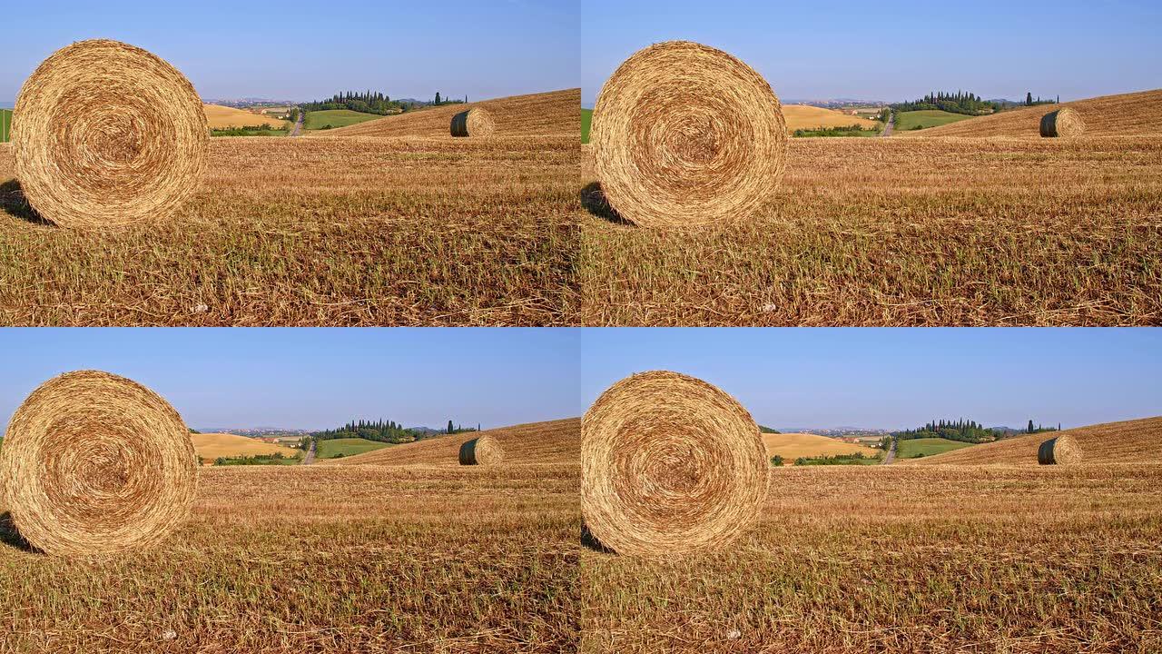 托斯卡纳乡村的DS包小麦