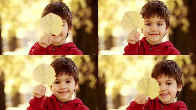 小男孩和叶子玩得开心
