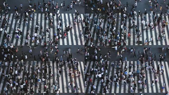 人们在人行横道上行走的加速高角度自上而下拍摄。晚上的大城市人行横道。礼貌的行人和司机。
