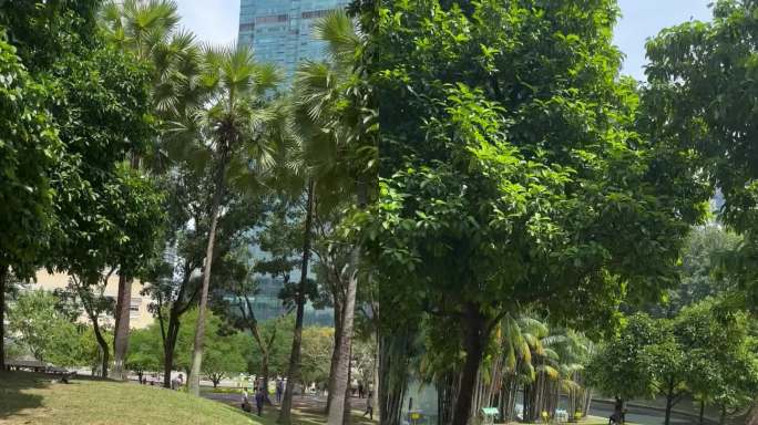 马来自然景观公园KLCC城中城公园2