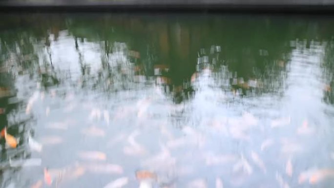 Pura Tirta Empul Temple的WS帐篷