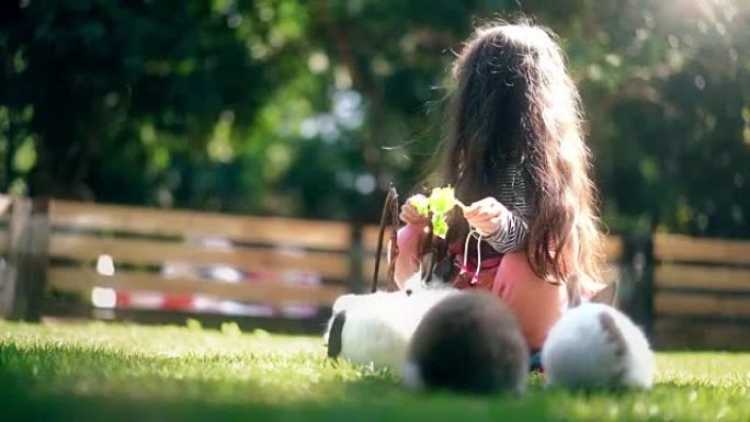 儿童女孩喂她的小兔子