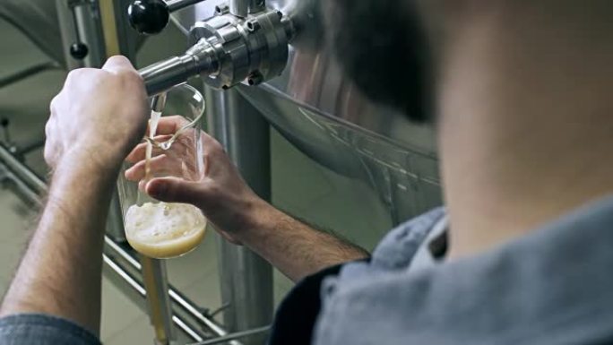 啤酒制造商从酿造机中倒出新鲜啤酒