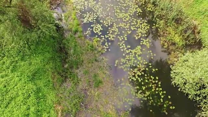 在沼泽上方用无人机进行空中飞行